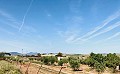 Landhaus in fußläufiger Entfernung von Pinoso in Alicante Dream Homes Hondon