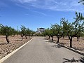 Stunning Detached Villa with Pool in Pinoso in Alicante Dream Homes Hondon