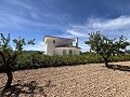 Impresionante villa independiente con piscina en Pinoso in Alicante Dream Homes Hondon