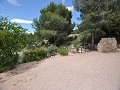 Maison en partie troglodyte modernisée dans les montagnes in Alicante Dream Homes Hondon