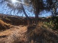 Maison en partie troglodyte modernisée dans les montagnes in Alicante Dream Homes Hondon