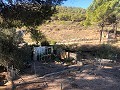 Maison en partie troglodyte modernisée dans les montagnes in Alicante Dream Homes Hondon