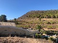 Maison en partie troglodyte modernisée dans les montagnes in Alicante Dream Homes Hondon