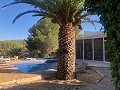 Teilmodernisiertes Höhlenhaus in den Bergen in Alicante Dream Homes Hondon