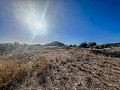 Enorme casa en el campo con parcelas en Pinoso in Alicante Dream Homes Hondon