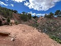 Maison de campagne à Pinoso avec 2 chambres troglodytes in Alicante Dream Homes Hondon