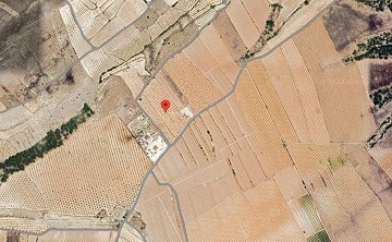 Large plot of land for sale near Pinoso