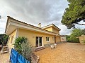 7 soveværelser 4 badeværelser villa i Elda in Alicante Dream Homes Hondon