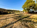 Großes Landhaus in Alicante Dream Homes Hondon