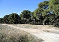 Prime Land for Building in Alicante Dream Homes Hondon